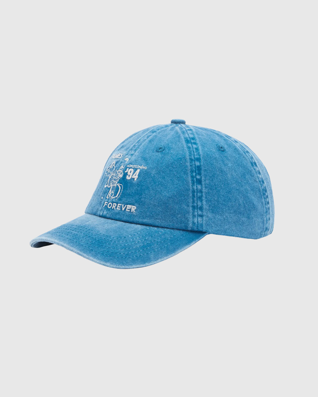 Forever 6-Panel Cap Blue