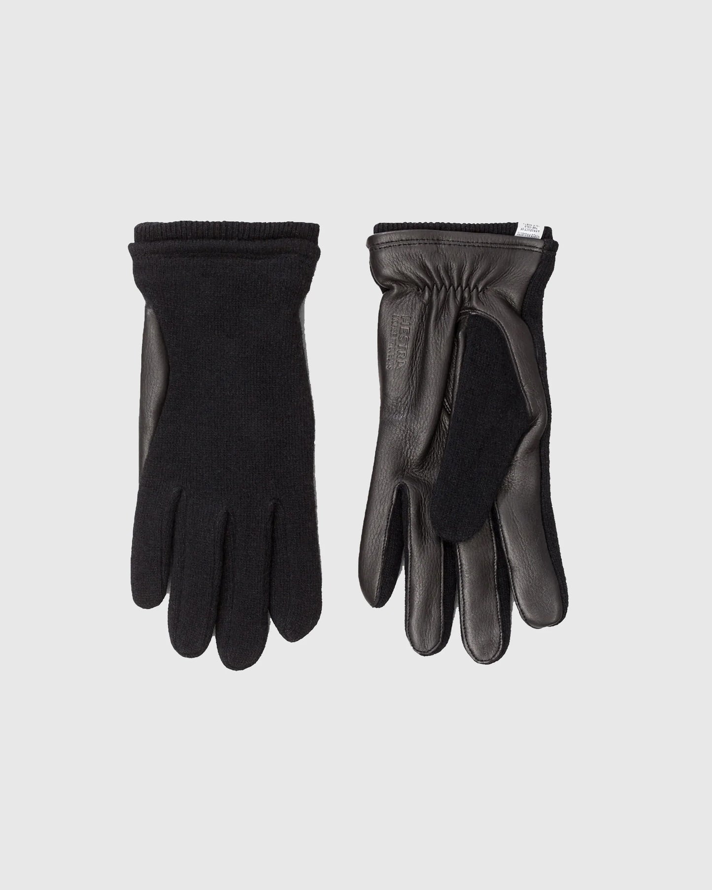 Norse x Hestra Svante Black